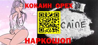 гидра Шахты