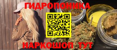 стаф Шебекино