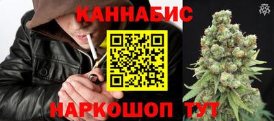 гидра Шахты