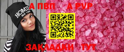 стаф Шебекино