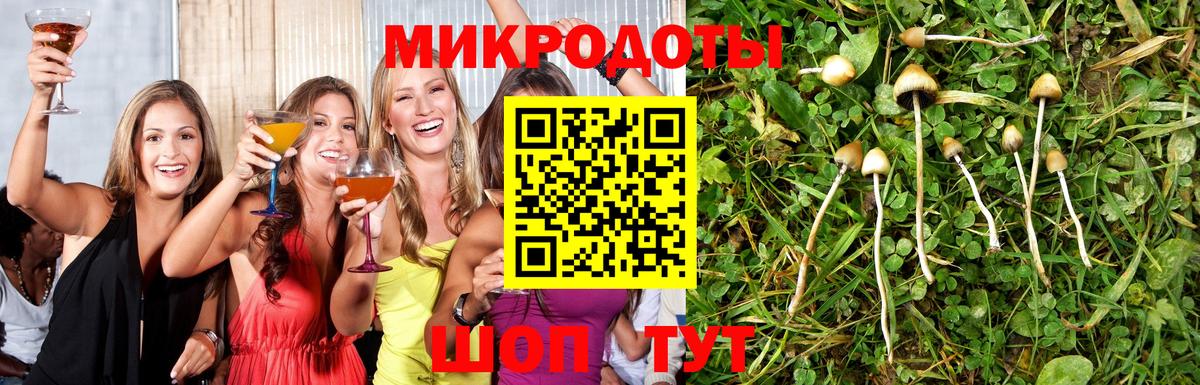 Галлюциногенные грибы GOLDEN TEACHER Арсеньев