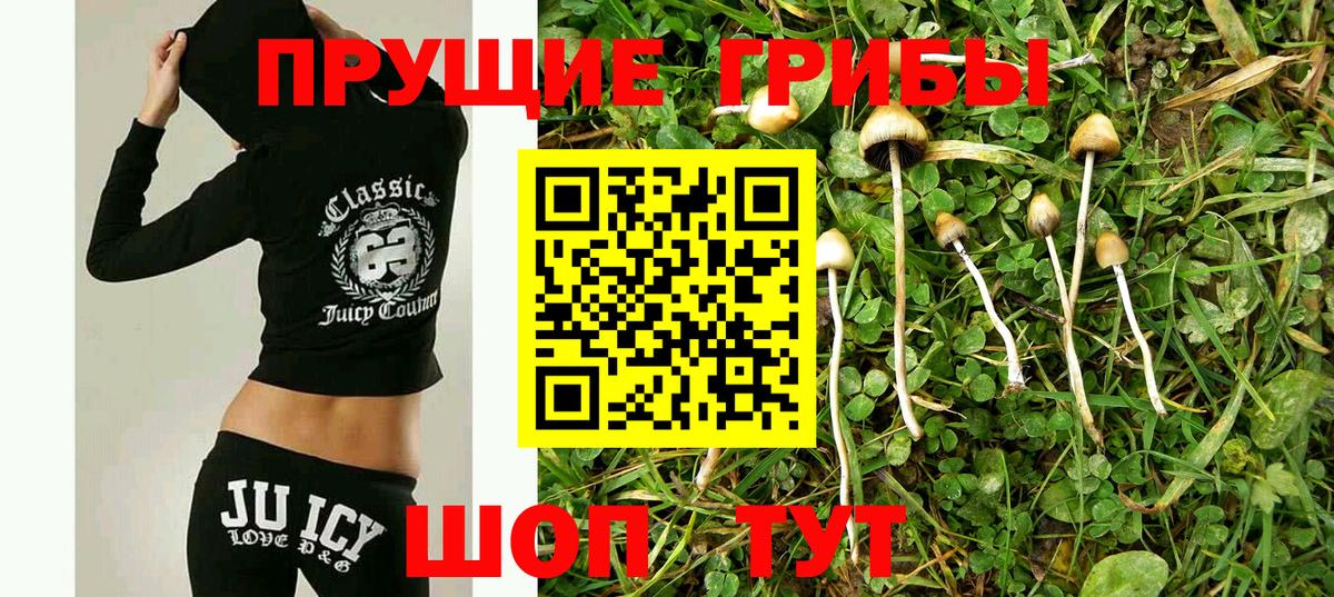Арсеньев  где найти   Вход с VPN  Галлюциногенные грибы прущие грибы 